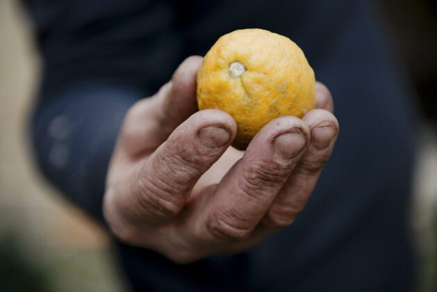Jean Noviel - Le voyage à Vauclaire - 2024-2025