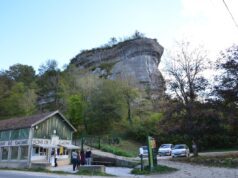 Les peintures de Font-de-Gaume rajeunies