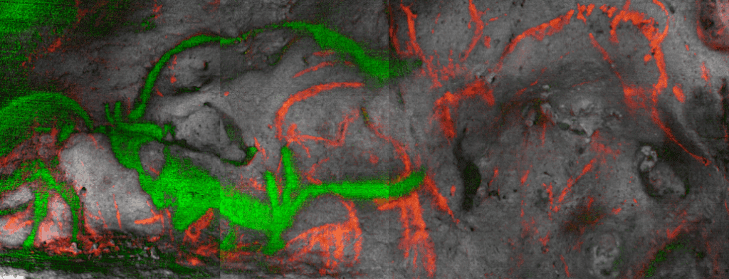 Image de l'étude de Font de Gaume en vert le manganèse en rouge le carbone