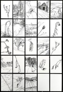 Série 365 jours de dessin, le mois de janvier en progrès