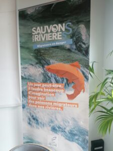 Colloque sur les poissons migrateurs à Bordeaux