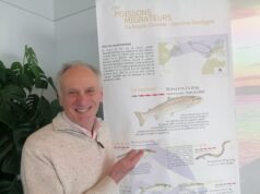 Les humeurs d’un passionné de nature