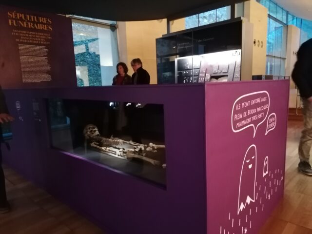 Le parcours thématique permet de redécouvrir tout le musée