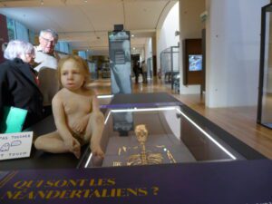 L'enfant du Moustier est sorti de sa vitrine