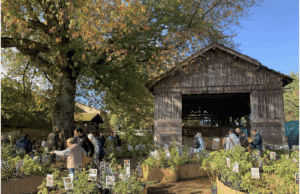 Méconnu ou inconnu ? Le jardin autrement