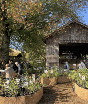 Méconnu ou inconnu ? Le jardin autrement