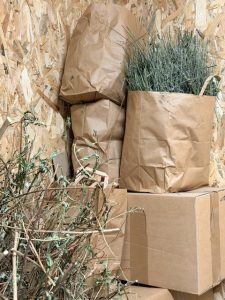 Séchage aromates 