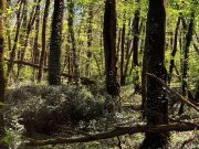 Chaux de Saint-Astier s’engage pour la préservation des espaces naturels