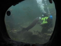 Profession, scaphandrier d’eau douce en Périgord noir