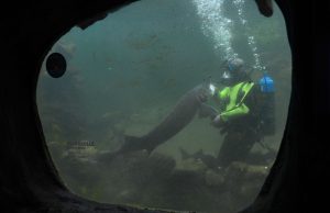 Profession, scaphandrier d’eau douce en Périgord noir