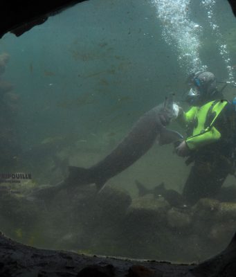 Profession, scaphandrier d’eau douce en Périgord noir