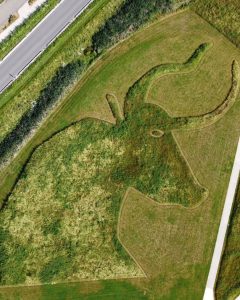 Le taureau de Lascaux dessiné dans l'herbe devant le site de Lascaux 4