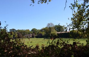 Les champs des possibles