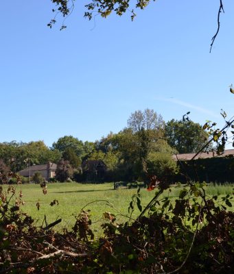 Les champs des possibles