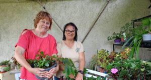 Une recyclerie végétale pour recréer des liens entre les hommes leur jardin en création, où elles souhaitent accueillir le public
