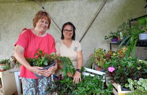 Une recyclerie végétale pour recréer des liens entre les hommes leur jardin en création, où elles souhaitent accueillir le public
