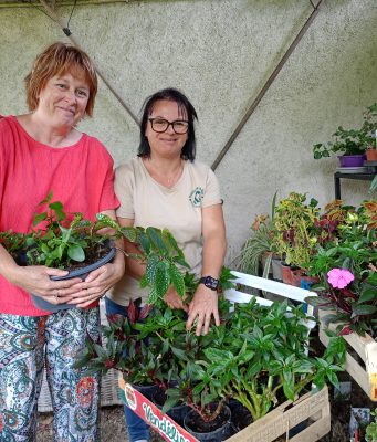 Une recyclerie végétale pour recréer des liens entre les hommes leur jardin en création, où elles souhaitent accueillir le public