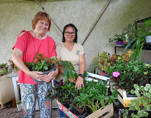 Une recyclerie végétale pour recréer des liens entre les hommes leur jardin en création, où elles souhaitent accueillir le public