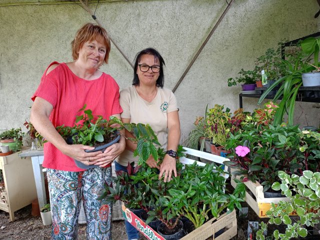 Patchouli CHY 1 leur jardin en création, où elles souhaitent accueillir le public